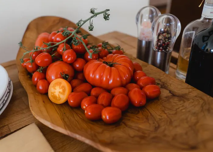 Fischerhaus Pensión